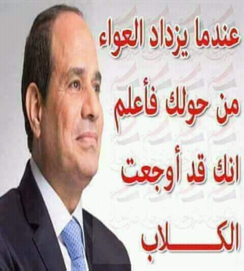 Mohamed ibrahim tweet media