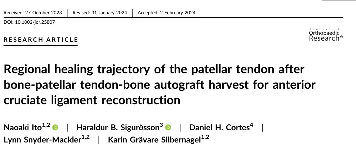 1st paper to quantify regional patellar tendon healing after BPTB autograft 4 ACLR from @rightnaoPT &amp; group! All regions of the tendon are altered after harvest. Healing trajectory may differ b/w regions. Next step? Optimize tendon healing after ACLR! bit.ly/4a058f9