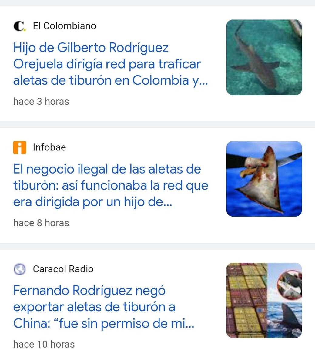 Muchos medios publicaron hoy una 'noticia':descubrieron que el hijo de Rodríguez Orejuela estaba envuelto en una red de tráfico de aletas de tiburón Seamos justos:démosle un aplauso a @MongabayLatam,que publicó esa investigación en noviembre del 2023, tras analizar muchos docs.