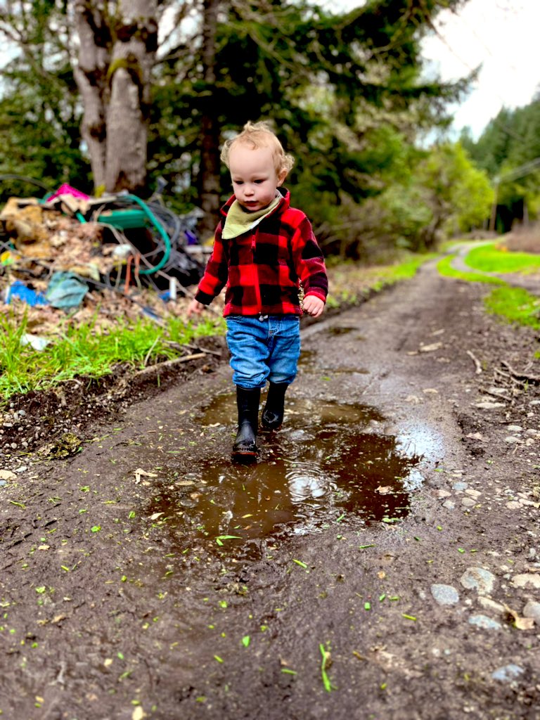 JohnsonGabbs211's tweet photo. Had some outside time while the sun was out for a little🥰 Dad mowed the lawn and the babies played! https://t.co/H3mlZ9mr5k