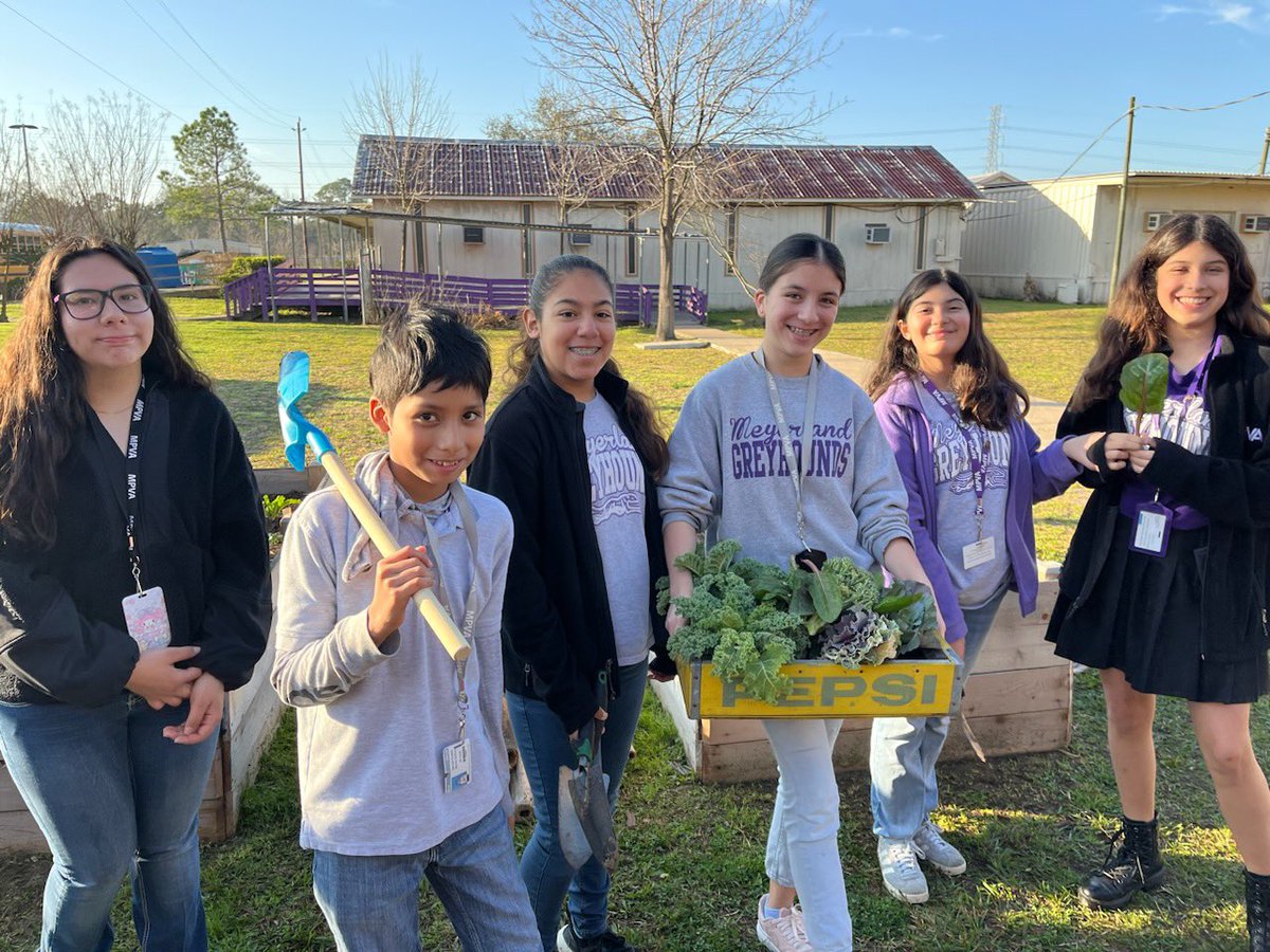 @MeyerlandMS Gardening Club harvesting their first crop! 🥬 🥦 🥬