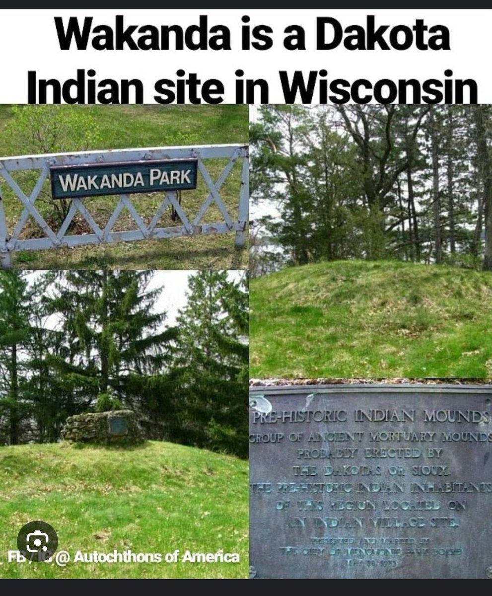 IndiansOriginal's tweet photo. @petty_murphy43 🩸🫡👇🏾 https://t.co/rgvrR81YdQ