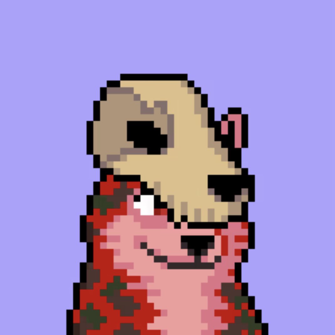 scoutz_'s tweet image. #Moonrunners