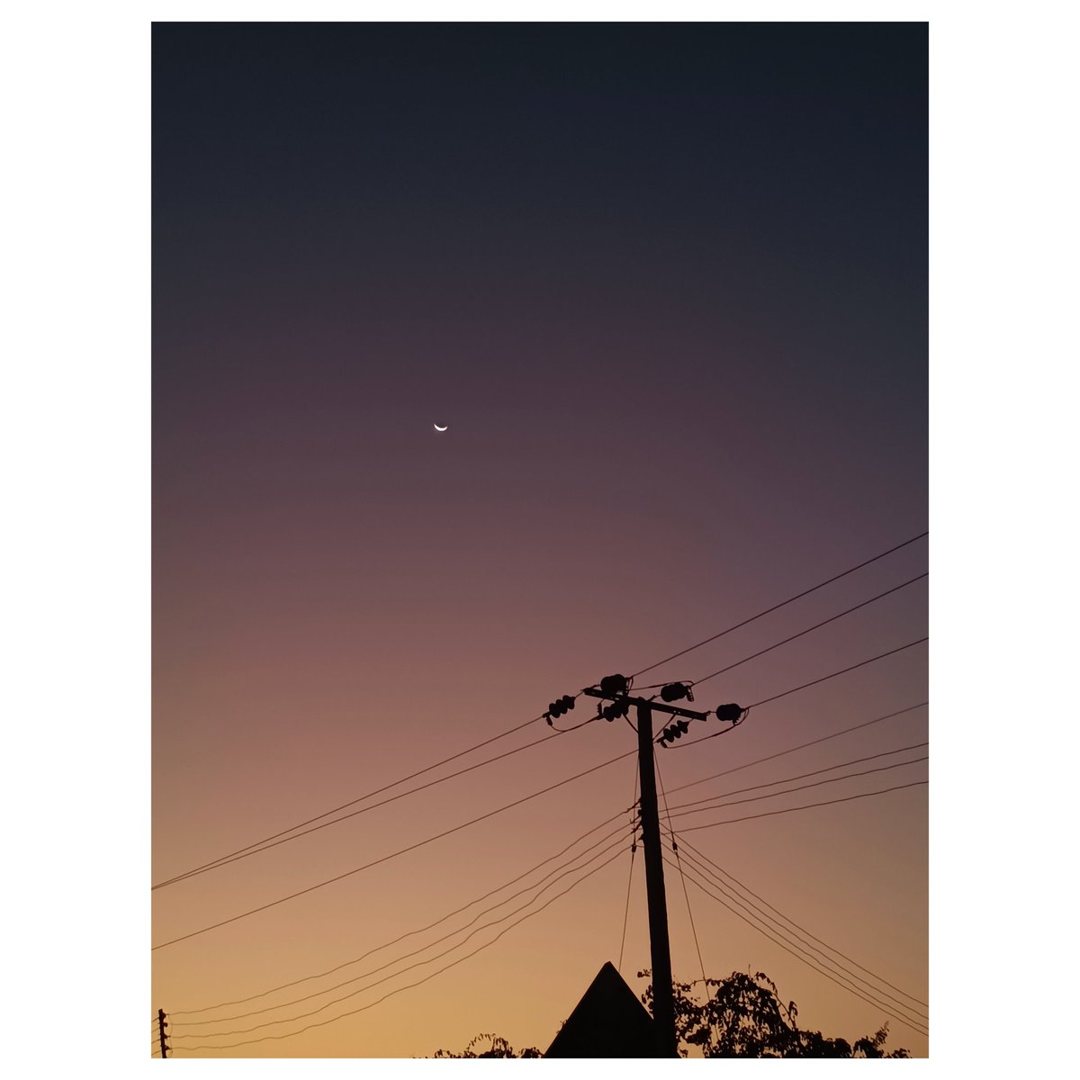 Skylark's Place Gadgets 💉📱 tweet media