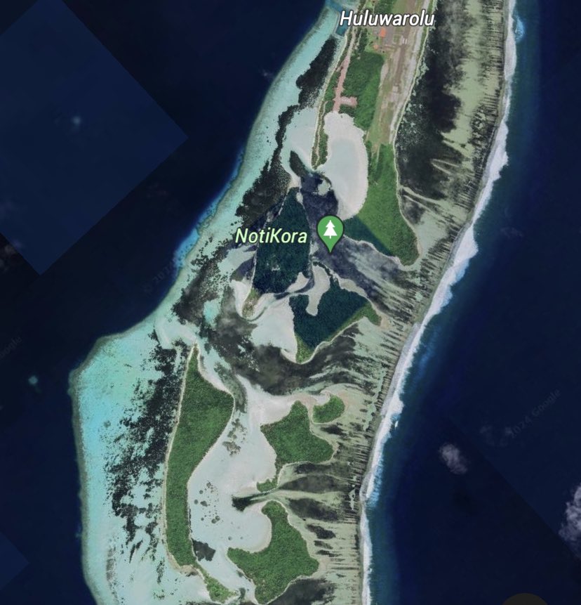 aaidh 🇵🇸 tweet media