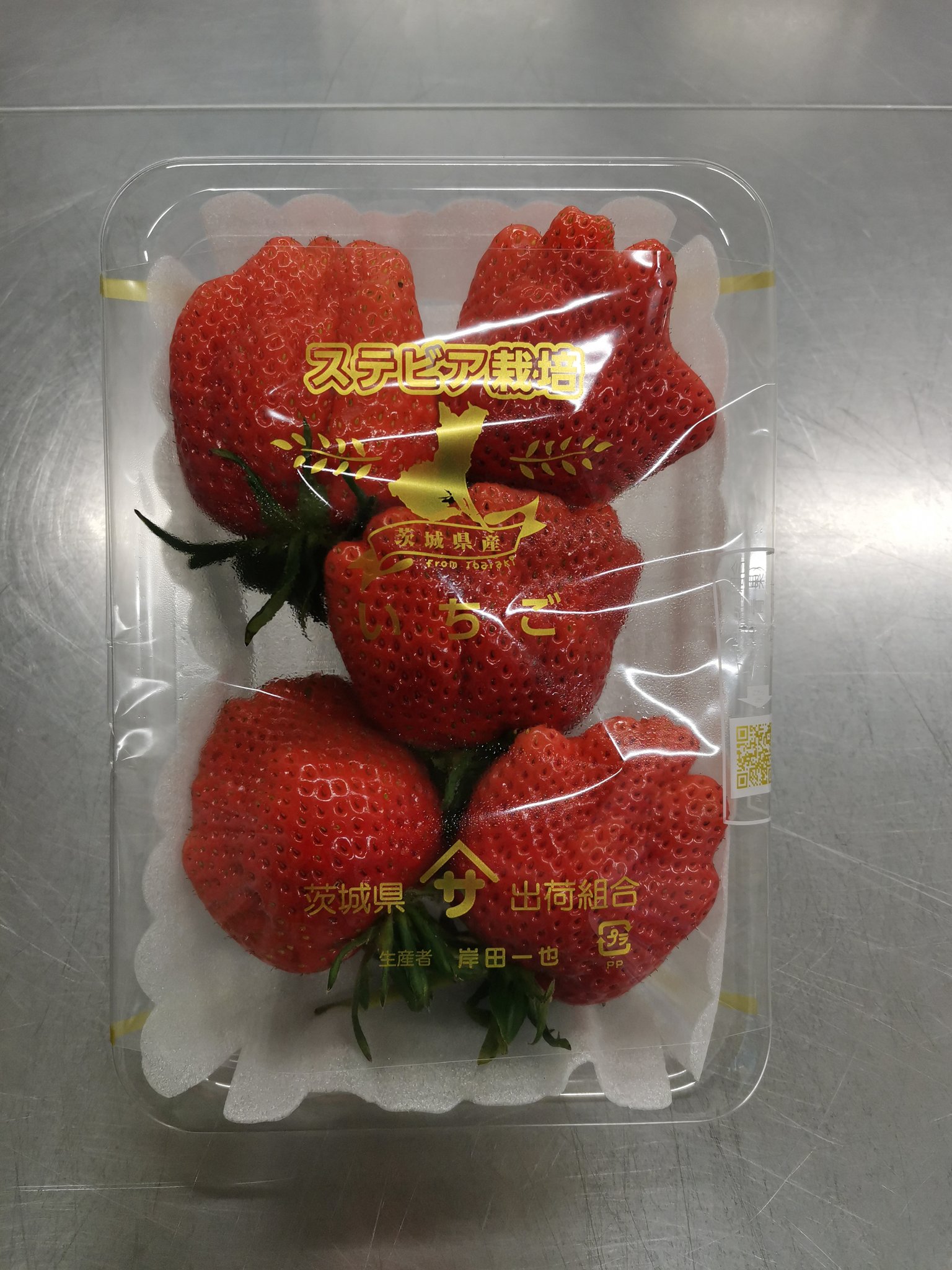 完全果実 on X: 完全果実 on X: