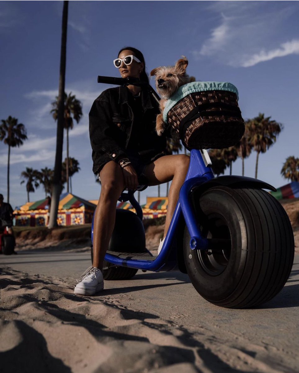 Kaaspeed-USA tweet media