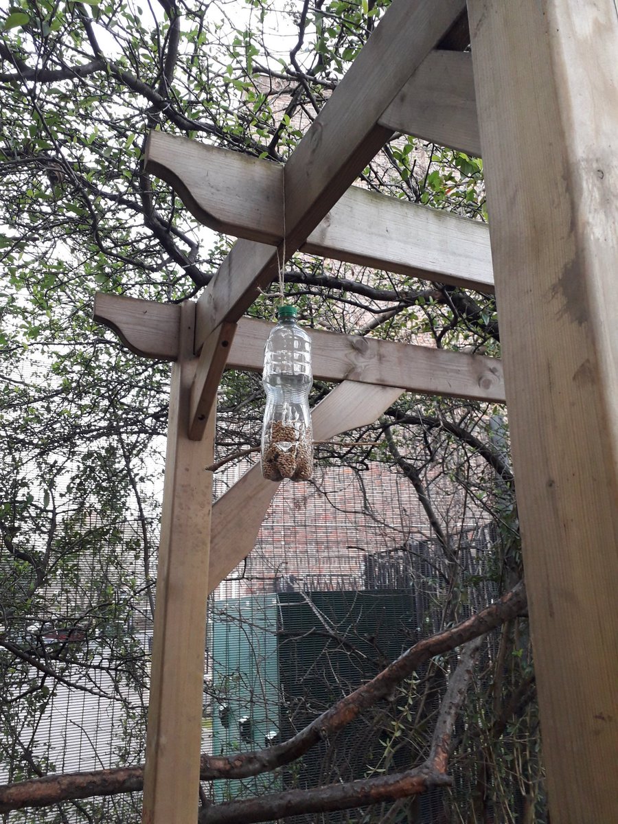 Great afterschool club with Pippa & @SurreySqSchool pupils making bird feeders for the school playground 😊 #outdoorlearning #recycling #newskills #enjoyment #forestschoolactivity #birds