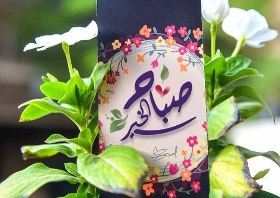 x0a_6's tweet photo. @AshrafS56938817 امين يارب العالمين 🌹 https://t.co/9mYhc3lJLV