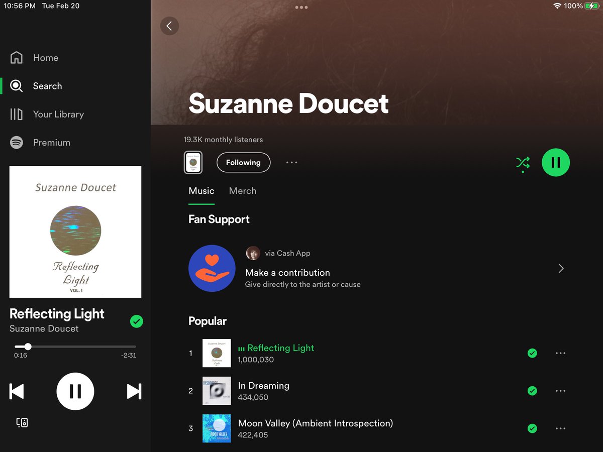 „Reflecting Light“ by Suzanne Doucet now over 1 million streams on Spotify!