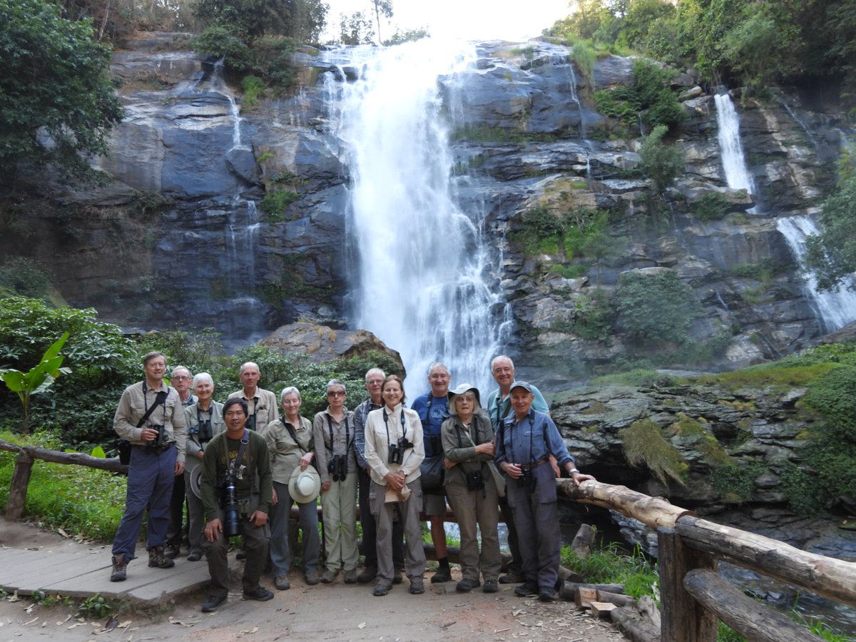 Another successful #thailandbirds tour concludes.   Lovely group as ever, superb birding, brilliant locations and fun.  

Huge thanks to the incomparable <a href="/jayshrike/">Wich’yanan L 🐍 |||</a>.  

Pic: Collared Falconet