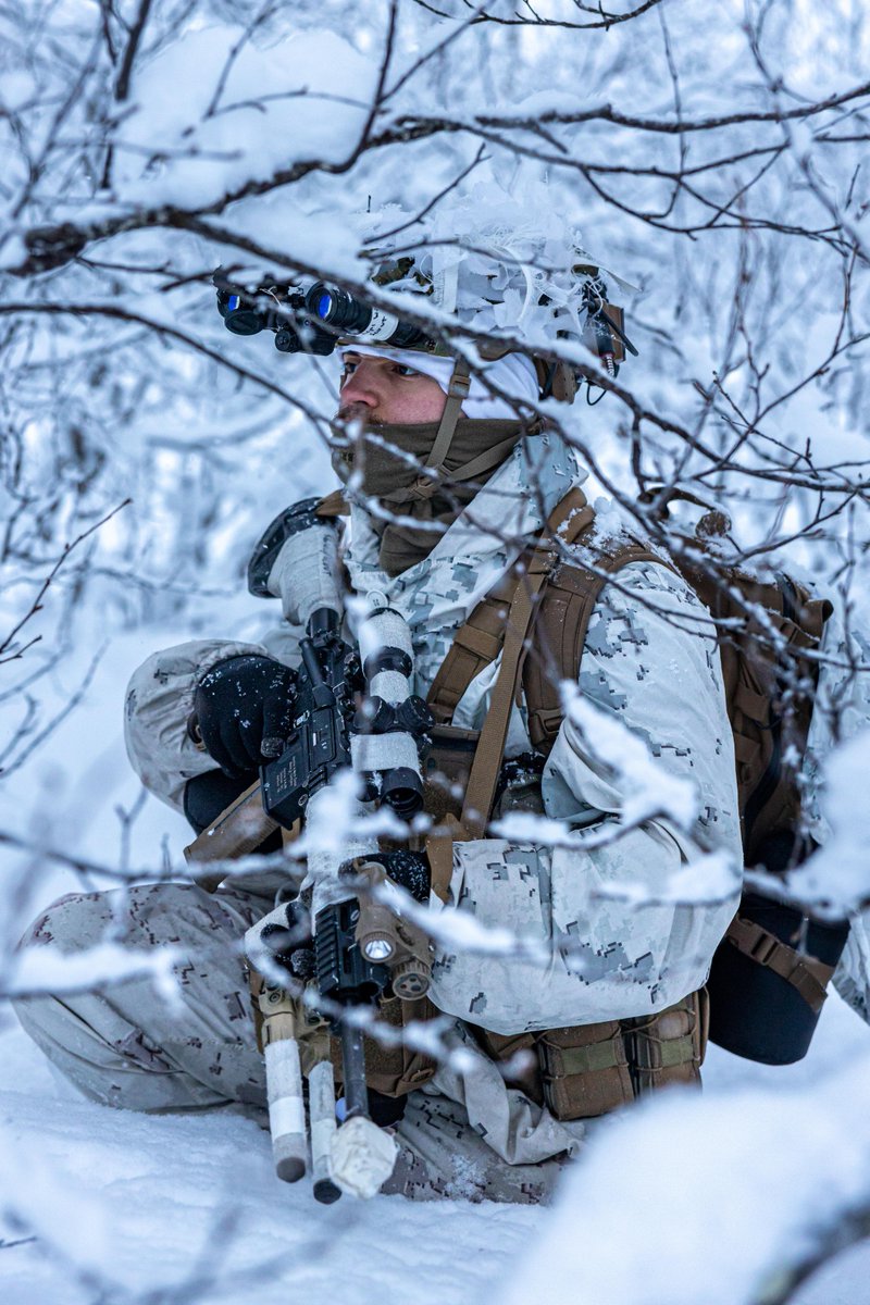 U.S. Marines and @NATO allies unite in a dynamic display of strength during a breaching and clearing mission in Norway. 🌐 Ready for #NordicResponse24, this exercise enhances Arctic security, elevates global readiness, and fosters unparalleled cooperation.