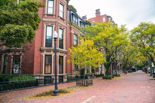 Listen to our ExecDir @daveedmesh discuss how we're using @AmericanForests #TESA tool to engage residents and students to plant trees for #TreeEquity: 'New online tool helps #Boston grow tree equity' publicnewsservice.org/2024-02-20/cli…