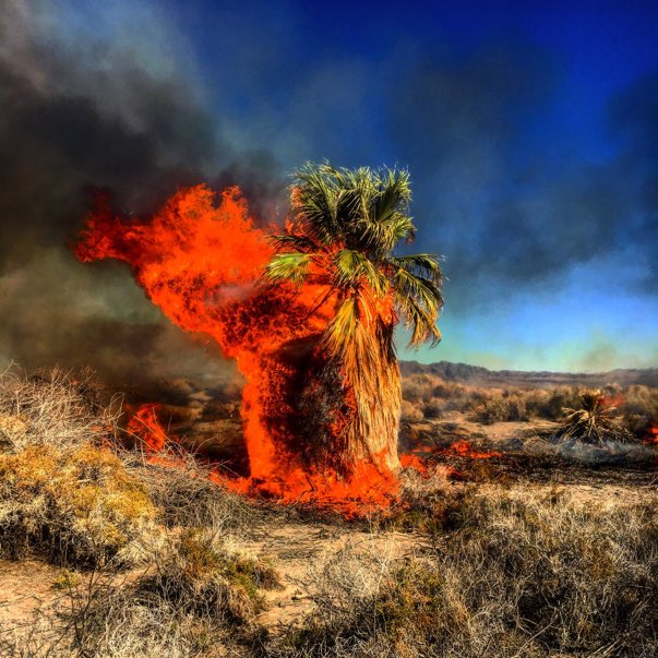 HotshotWake's tweet photo. It’s just some BLM land in California that got a little sporty… everyone settle down. 

But it ripped. 
#plumasfire #wildfire #cafire https://t.co/4i5Q55LsSo