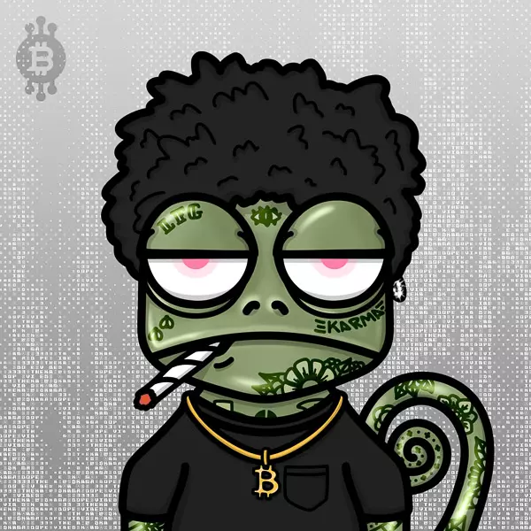 karmelo's tweet photo. Sub-500k PFPs on Bitcoin still belongs to the lizards 🦎

https://t.co/kTqfkdsDsd https://t.co/QKH3UiO3yd
