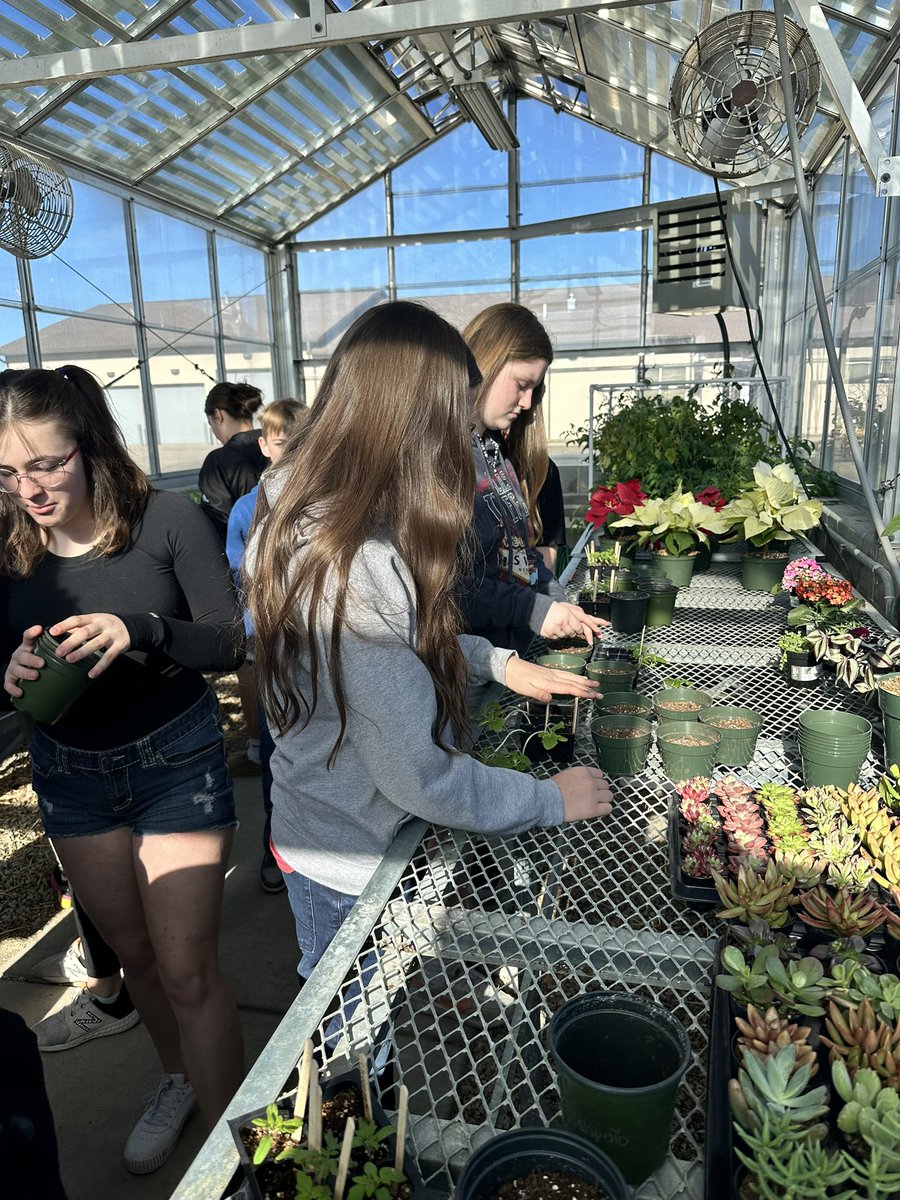 mandiholsten's tweet photo. Exploratory Ag Ss spent the day in the greenhouse repotting their seedlings they planted a few weeks ago.  They are excited to sell them in the spring plant sale in a few months.  @EudoraSchools #agriculture #plantscience https://t.co/4KBzcrjT03