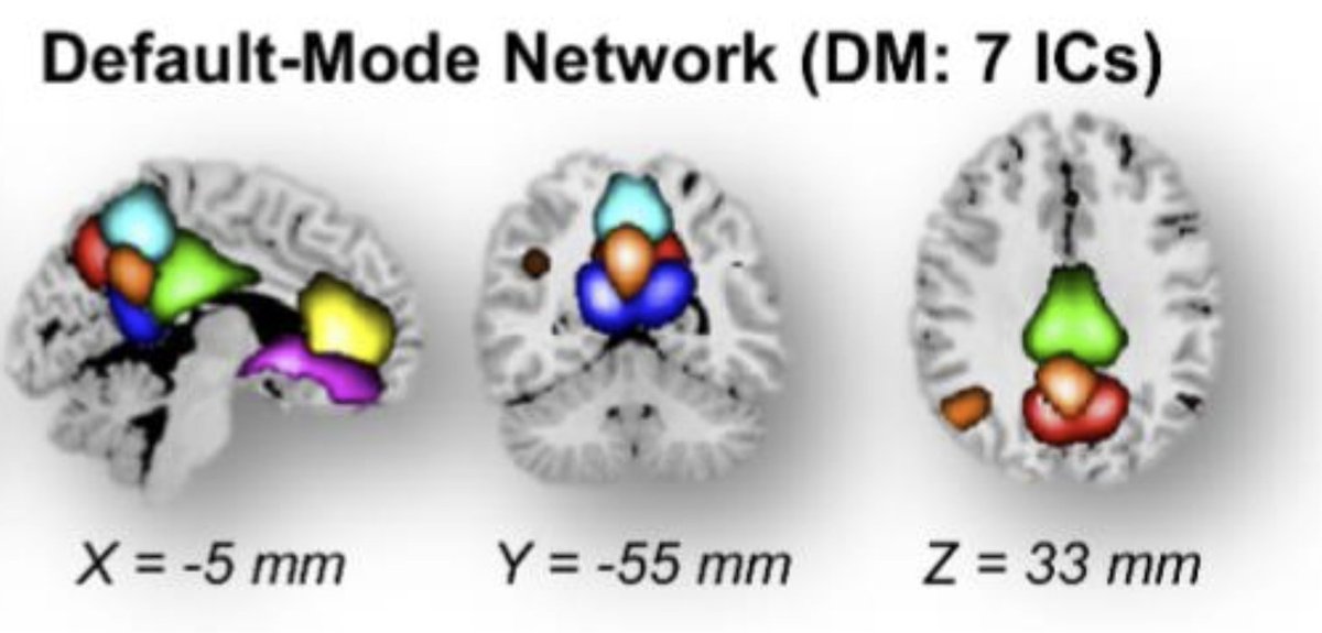 Cyrus Eierud tweet media