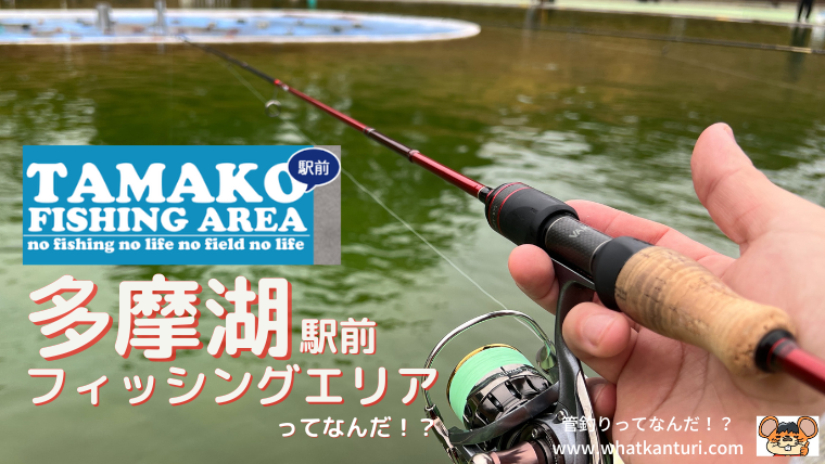 whatkanturi's tweet photo. #管釣りってなんだ 
#多摩湖駅前フィッシングエリア
#実釣レビュー 
#ブログ更新 

『多摩湖駅前フィッシングエリア』
行ってきました！ 

感想を俳句でひとつ。

おもったより  　
　水がクリアで  　　
　　めちゃ釣れた  ※字余り  

実釣レビューはブログで是非！↓🐭
https://t.co/vHWtSnYiHI https://t.co/tP3eaeI623
