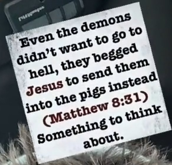 tatoouman2's tweet image. #TweetToCreate