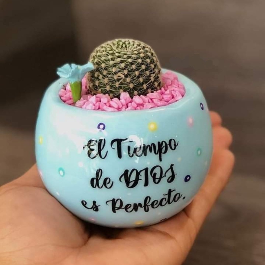 cℓαµ tweet media
