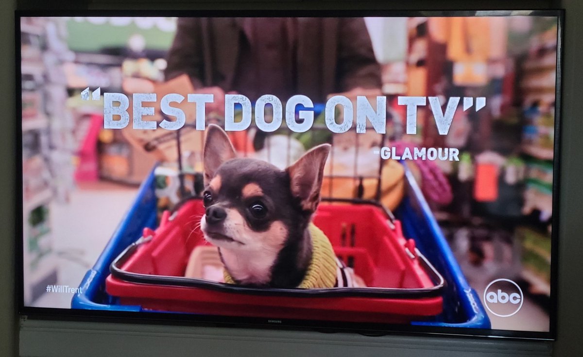 lizzyroseacosta's tweet image. She&apos;s back!!! Oh, or should we be more excited about @WillTrentABC instead? But Betty is so cute!!! Don&apos;t worry, @rodriguezramon, we love you too. Lol. Can&apos;t wait for this season&apos;s new adventures and investigations. #WillTrent #RamonRodriguez