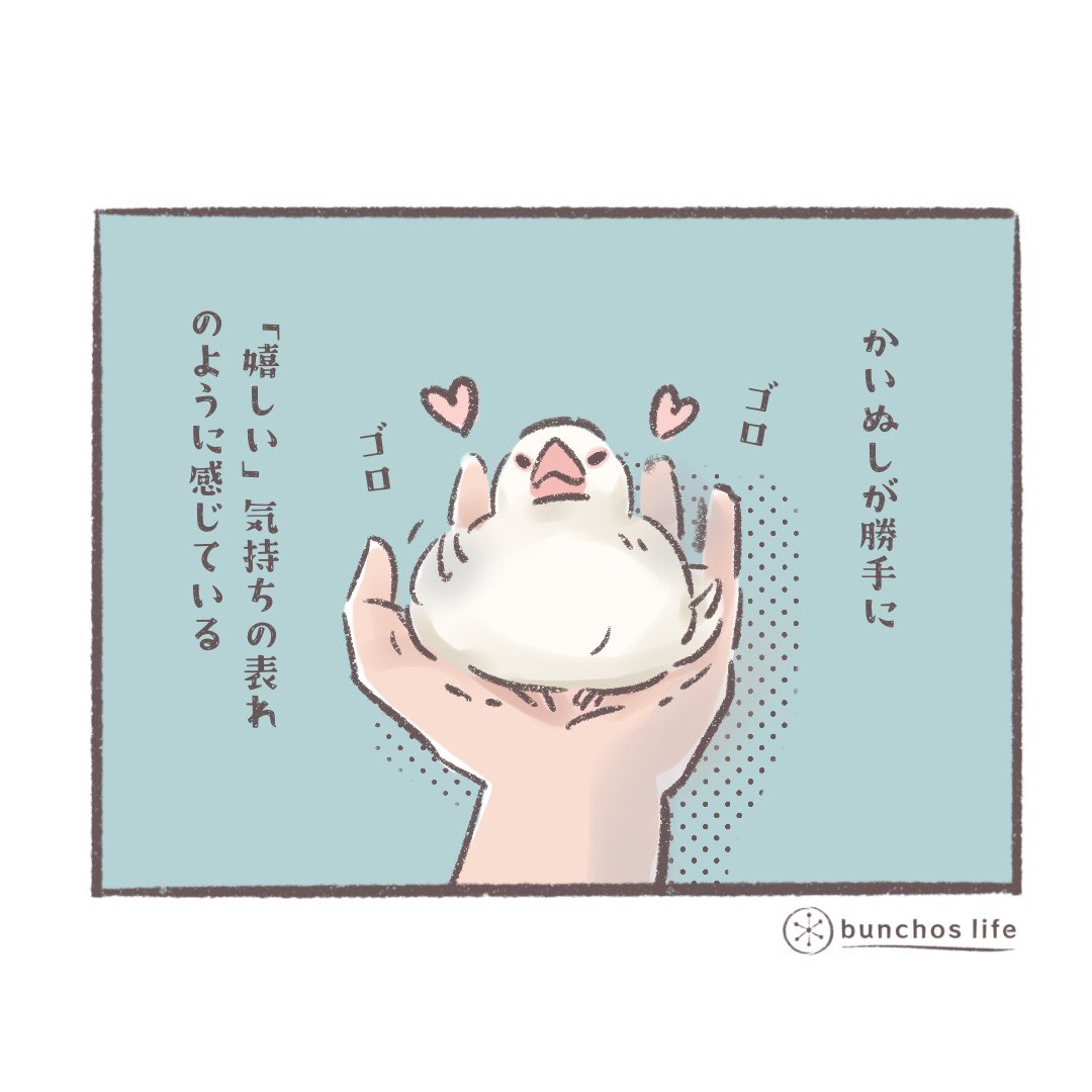 🍀 過去作「文鳥と書いてカワイイと読む⑥」リリースされました!無料でダウンロードできるのでよろしければどうぞ✨
↓↓↓
https://t.co/4Hau6ZZqne