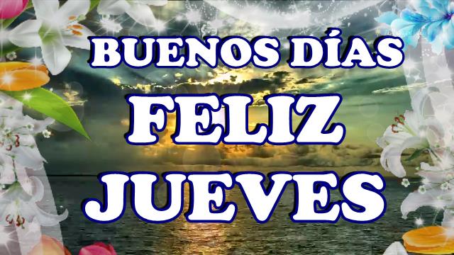 tipsfreelance's tweet photo. buenos dias feliz y bendecido jueves https://t.co/gf8dkpBfPp https://t.co/q61cRimb5k