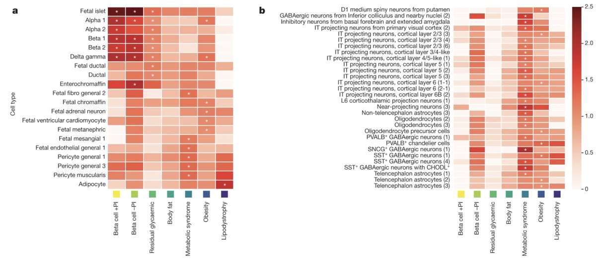 New exciting GWAS of type 2 diabetes in Nature in ~2.5 million individuals (>0.4 million cases), ~40% of which are from non-European ancestries. The sample size is so big that now the authors can dissociate the genetic signals in different clusters and use the cluster-specific