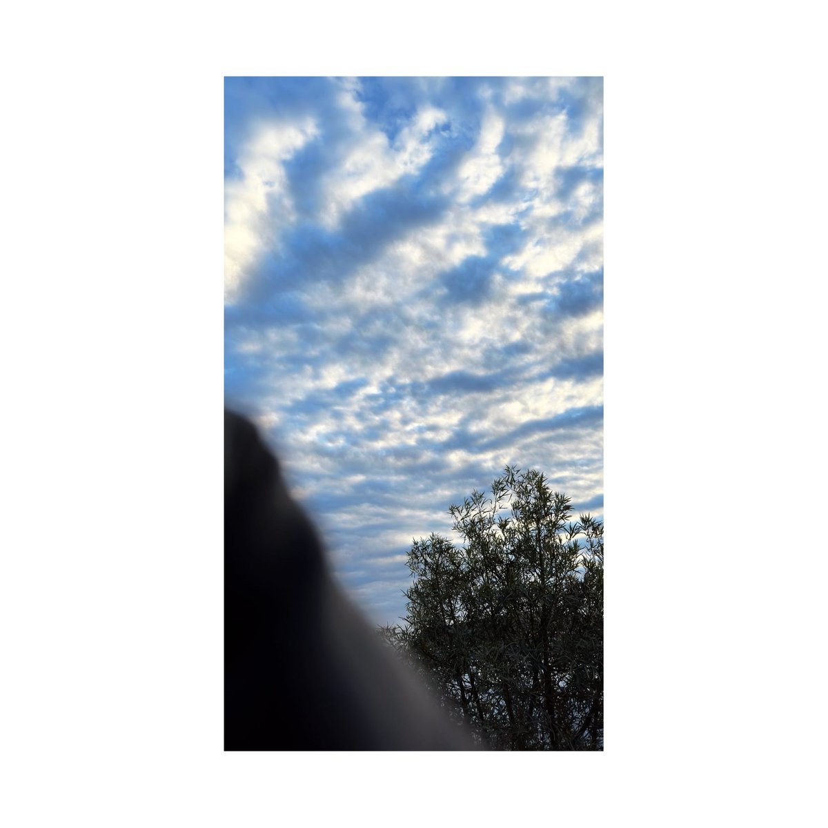 nimo__headache's tweet photo. https://t.co/xFPzAgMuoc