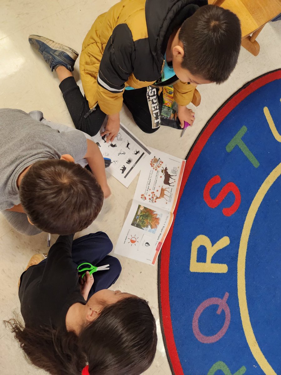 MrsSweeney-SESCoaching tweet media