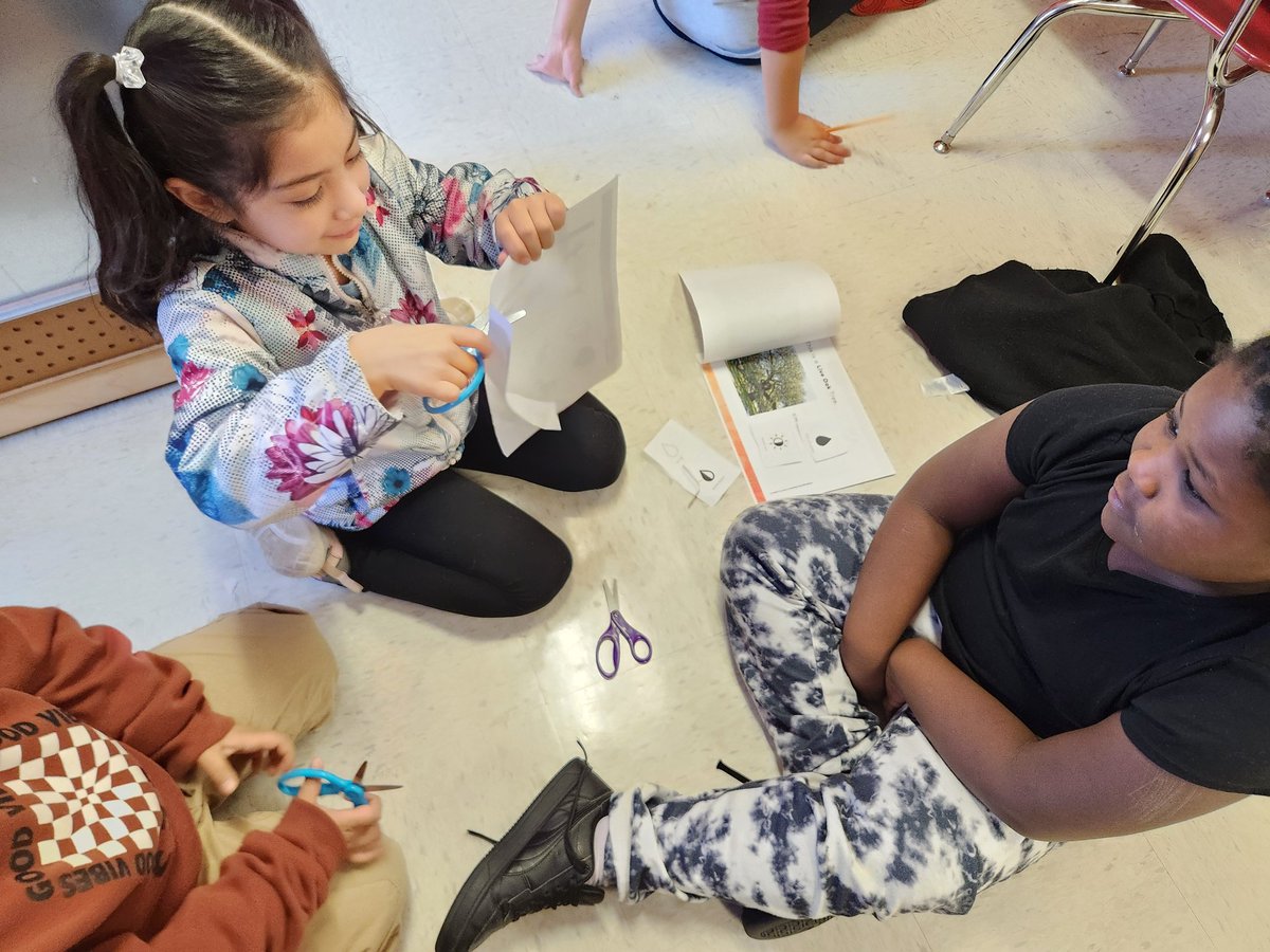 MrsSweeney-SESCoaching tweet media