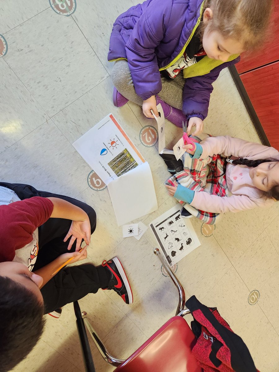 MrsSweeney-SESCoaching tweet media