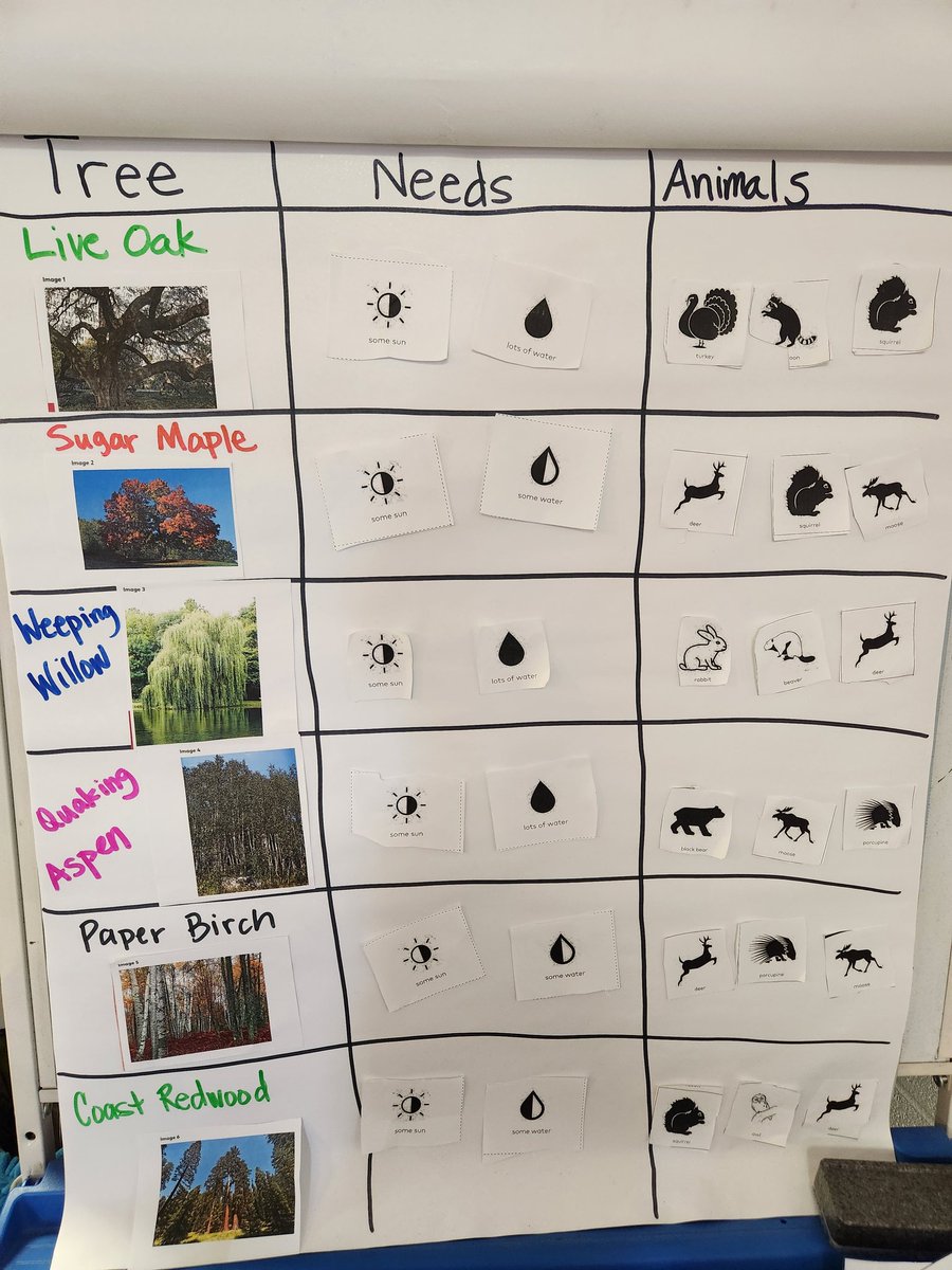 MrsSweeney-SESCoaching tweet media