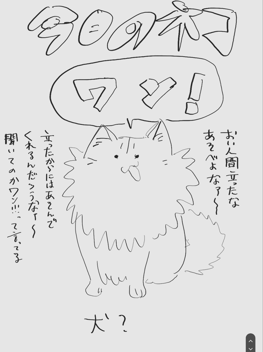 きょうのねこ(出かける3分前) 