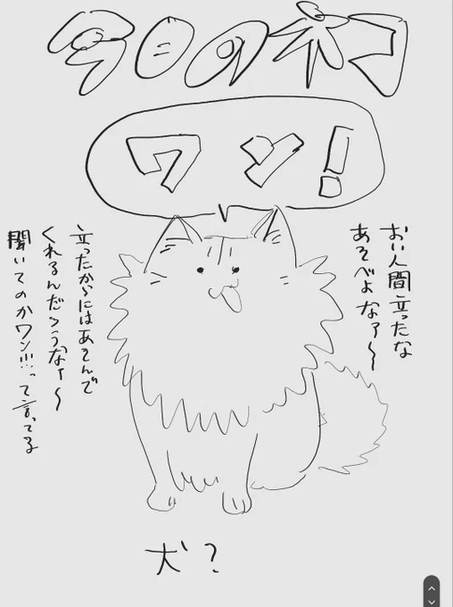 きょうのねこ(出かける3分前) 