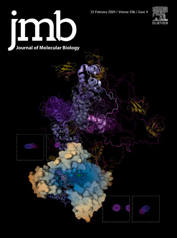 So excited to share our new @JMolBiol cover featuring Rad23A and DNA Polymerase iota! Team work @WoodgateLab @NicholasWAshton @Nancy_Jaiswal23