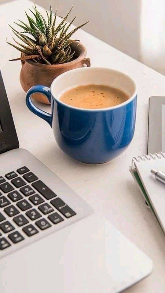 ssssasa07's tweet photo. ـ

قَالَ رَسُولُ اللهِ صَلَّى اللَّهُ عَلَيْهِ وَسَلَّمَ: مَنْ أَصْبَحَ مِنْكُمْ آمِنًا فِي سِرْبِهِ، مُعَافًى فِي جَسَدِهِ ، عِنْدَهُ قُوتُ يَوْمِهِ، فَكَأَنَّمَا حِيزَتْ لَهُ الدُّنْيَا. 

- رواه البخاري. https://t.co/D8XG0AONXg