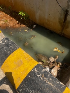 PMallavadhani's tweet photo. @hmwssbmgrblngpl,@MDHMWSSB,@GMHMWSB,@hmwssbgmom05,@Hmwssbdgmchkgud,@HMWSSBOnline,@HmwssbCustCare
Drainage blocked on main line, returning and chockage in our premises, token 6418,8502,7298.Please clean it immediatly. Can 613242370 Please clean it ASAP https://t.co/lom1quSfFW