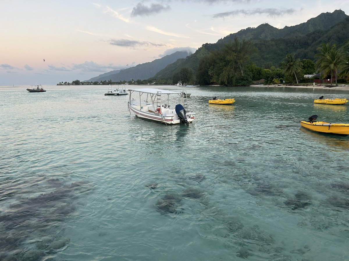 Does not suck #Moorea #FrenchPolynesia