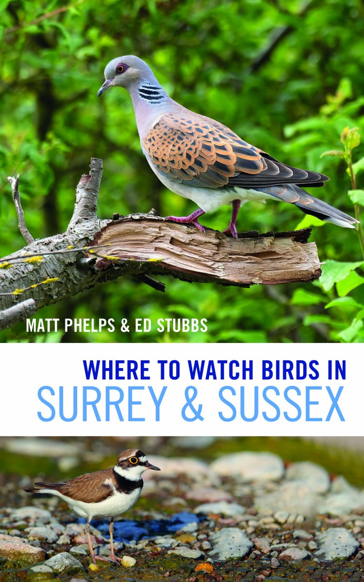 The new Where to Watch Birds in Surrey and Sussex book by @mostlyscarce and @Godalming_birds is out now bloomsbury.com/uk/where-to-wa…