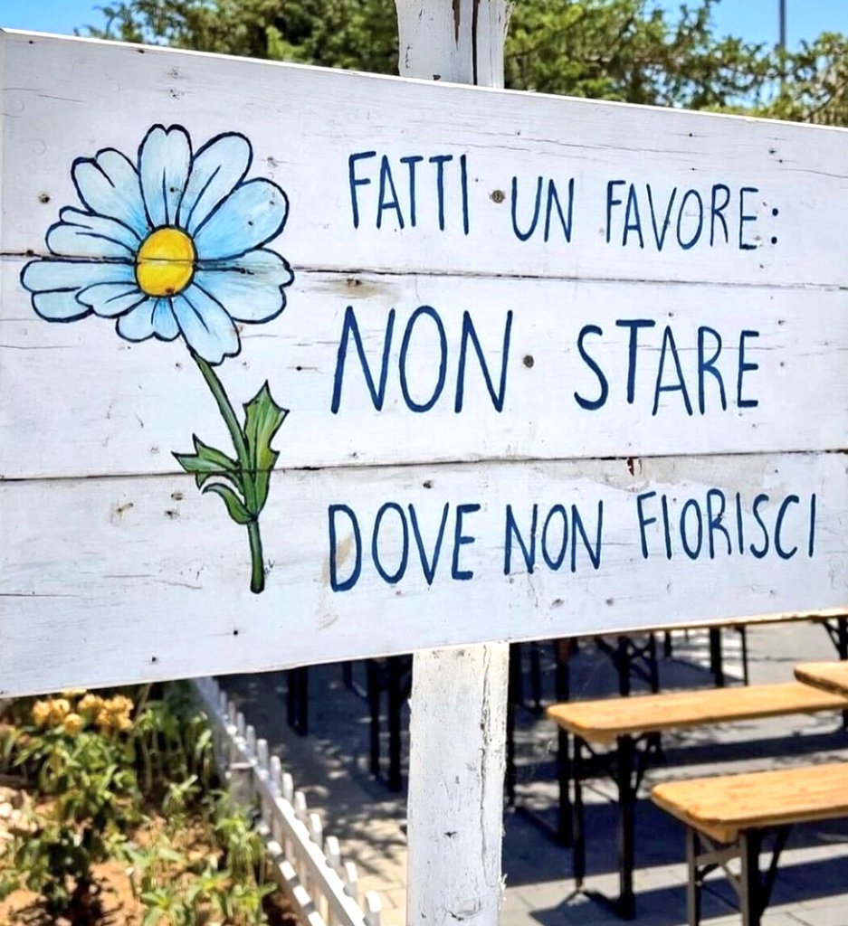 🏵️🏵️🏵️