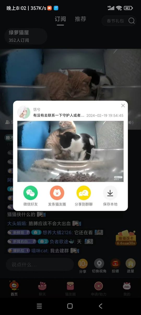 Another incident with the street cats yesterday, the green cat house cow cat was shot through the leg. Not sure who shot it and when. 

Please help to bring #CatAbusersChina to justice.

 #StopChinaCatTorture #mrfresh