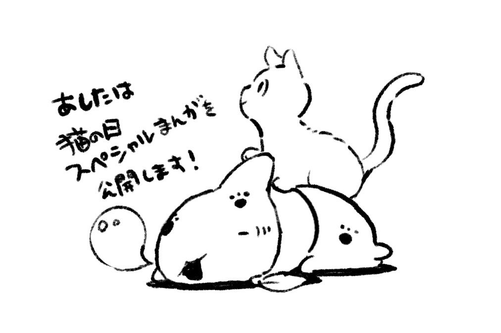 🦈🐈 