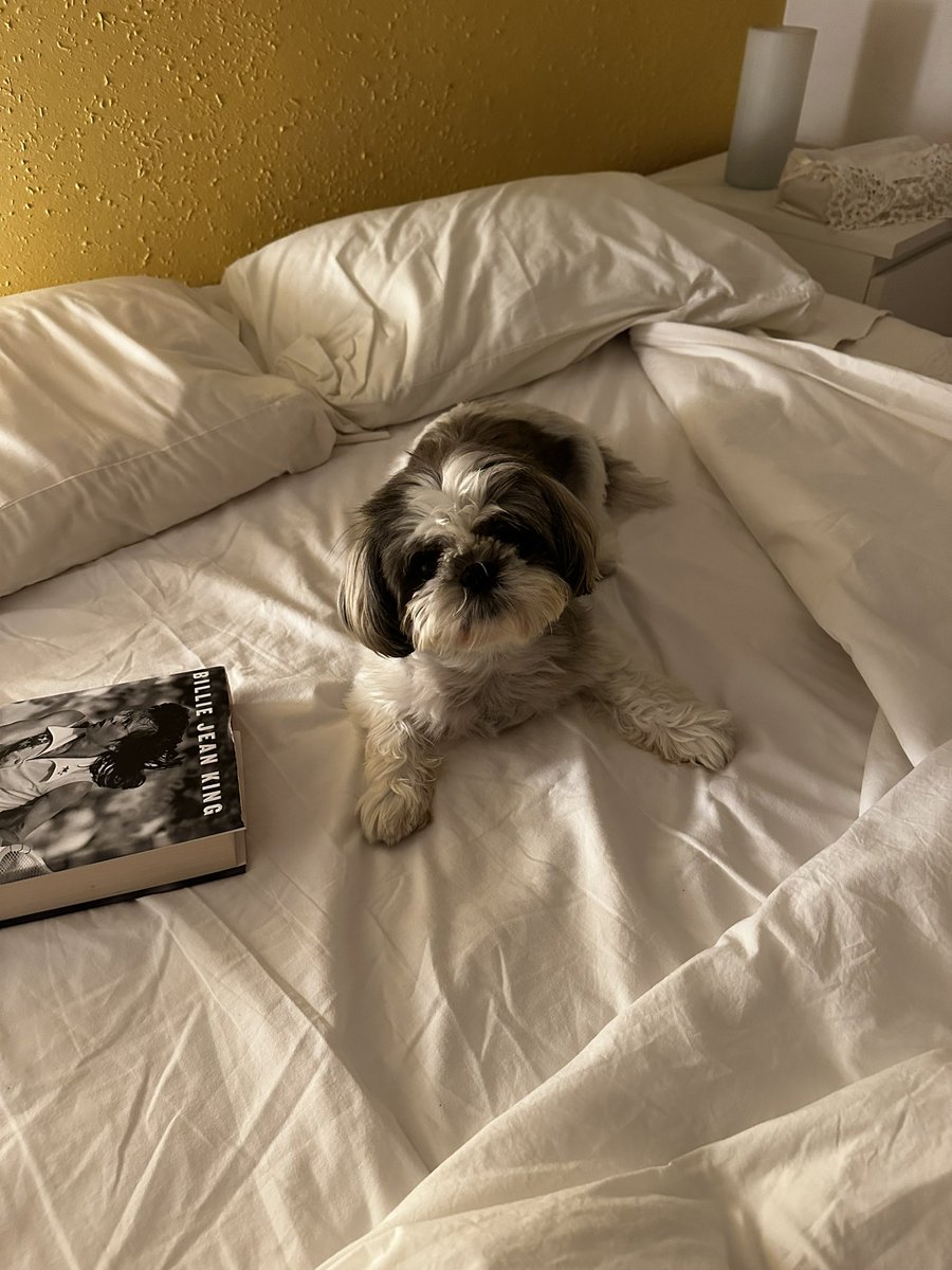 Raquelmarski's tweet photo. @BillieJeanKing Poppy is reading your book @BillieJeanKing 😀 https://t.co/5k9cYxKbKq