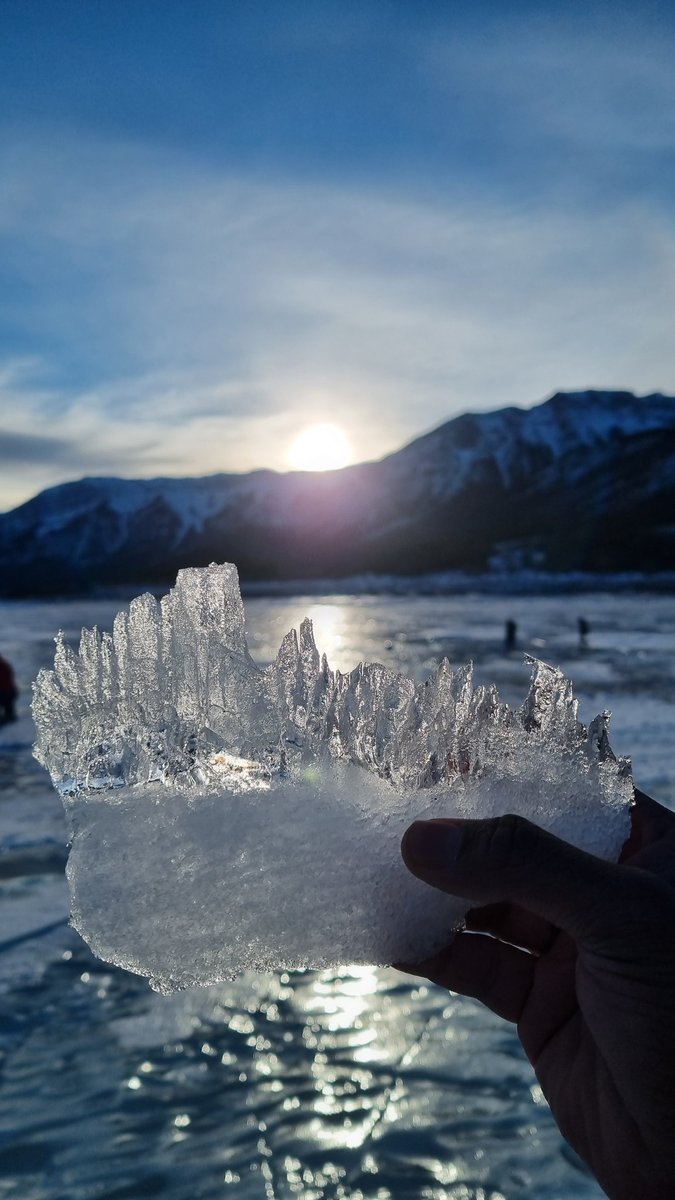 thomasfrank007's tweet photo. Methane seeps frozen in ice!!! Beautiful patterns on ice https://t.co/7Tb9JWfLPi