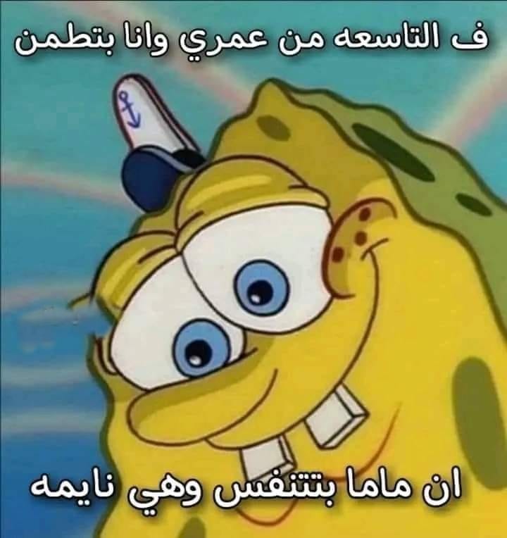 Egyptianmemees's tweet photo. https://t.co/fWr0iM0PiO