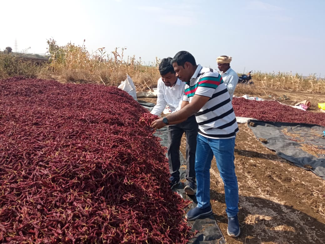AgriGoI's tweet photo. The Government of Karnataka's Department of Horticulture played a vital role in promoting the Farmers Producer Organization (FPO).   

#agrigoi #Horticulture #FPOs #farmers #EmpoweringAnndatas https://t.co/sUE4cpa7T6
