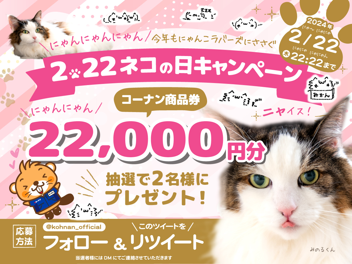 ⭐️白猫⭐️ジャンプ展　50週年　ファン感謝デー NEKOMA 猫 (@nekonikobanpon) / Posts and Replies / X