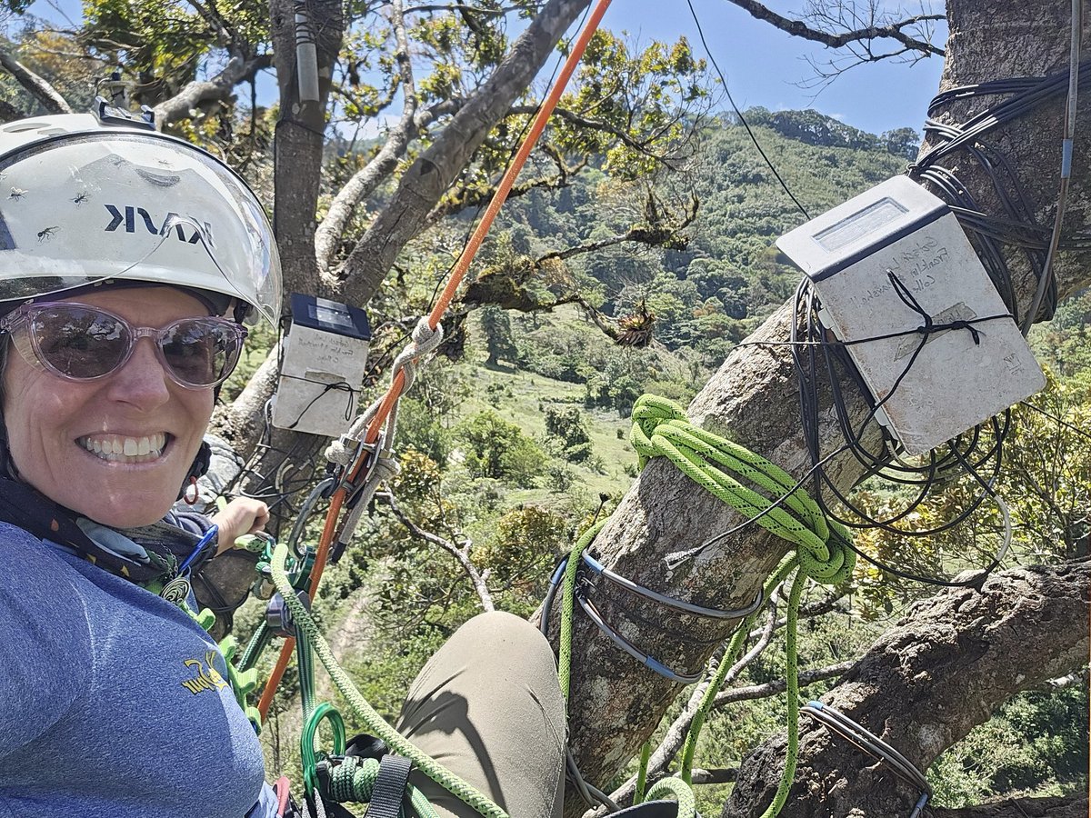 Ecology professors who love field work- Do you feel you are still able to do the parts of the job you love most? I hope so. #canopyscience #fieldbiology #womenintrees #treefolk