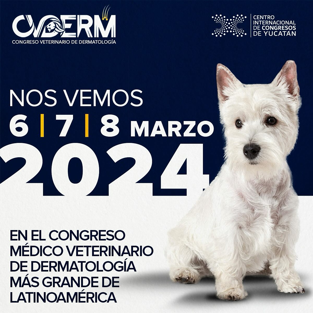 SQUENDA's tweet photo. 📍 Congreso Veterinario de Dermatología
📅 06 al 08 de marzo 2024
😉 Organiza: #CVDERM
📍Mérida, Yucatán
🌐Registro: https://t.co/7BDRfqQBqY
#CMGROUP #EventoPresencial #CongresoVeterinario https://t.co/931rEhp1Xm